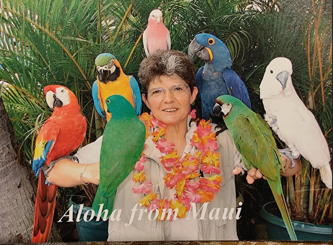 LAVIGNE - MARCELLINI Catherine Roberte Marika Née MARCELLINI